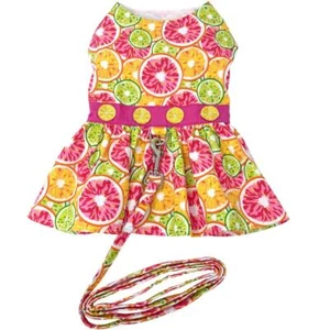 Doggie Design  Dog Dress  with Citrus Slice Matching Leash  XS-S-M-L - Picture 1 of 1