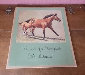 The Look of a Thoroughbred 8 Vntg Horse Prints C.W. Anderson Portfolio Man O War - Picture 1 of 24