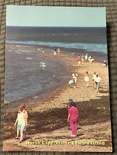 VTG Continental Postcard - North Cape Beach on Prince Edward Island, Canada