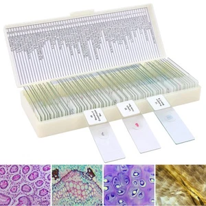 60 Microscope Slides with Specimens for Kids, Prepared Microscope Slides for ... - Bild 1 von 7