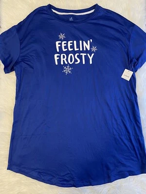 Secret Treasures Pajamas Womens Size Large/XL “Feelin’ Frosty” Blue Pjs - Image 1 of 4