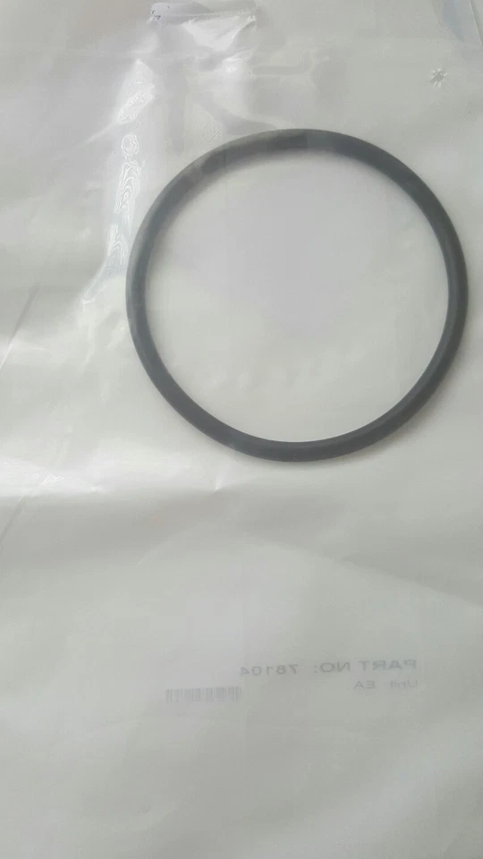 Anillo tórico astral genuino serie VX o E clorador de sal carcasa celda piscina 78104 Foto 1 de 1