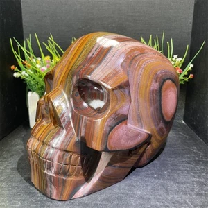 29.4LB 6.6" Large Natural Iron Tiger Eye Stone Skull Quartz Crystal Carving C5 - Picture 1 of 11