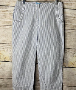 J. McLaughlin Capri Hose blau weiß gestreift ��d Seersucker �� Gr. 4 28x24 - Bild 1 von 10