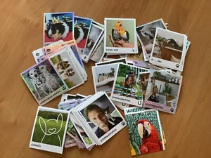 Sticker " Tierische Internetstars "Der große Sammelspaß 2021 5 Sticker  - Bild 1 von 1