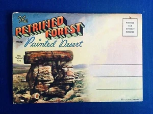 Der versteinerte Wald und bemalte Wüste Souvenir Klapp Postkartenheft - Bild 1 von 11