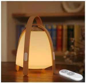 Nordic Creative Mood Light RGB Color Change LED Light, dimmable 10 Colors 4 Mode - Picture 1 of 10