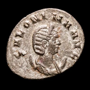 *Lucernae* Salonina, antoniniano. VENVS GENETRIX - VI. Roma, 257-258 dC (959) - Picture 1 of 3