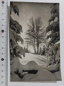 I120468 AK - Belluno - Dolomiten - Wintermotiv - Bild 1 von 2