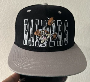 Rare Raiders Taz Tasmanian Snapback Cap Hat Looney Tunes Drew Pearson Companies - Picture 1 of 9