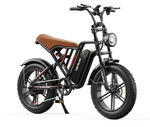2025 VARUN X-Plorer Electric Bike Peak 250W 65+ Miles 48V 13Ah Electric Bike - Picture 1 of 23