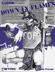 CORPS Down in Flames 12 Disaster Scenarios for any RPG Play Copy - Bild 1 von 9