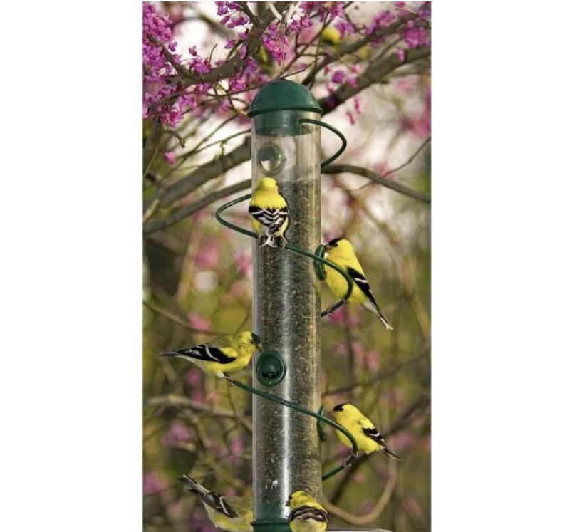 Alimentador de semillas mixtas verdes de 17" con perca en espiral - Songbird Essentials SBF3G Foto 1 de 1