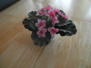 Blumen mit Porzellanvase Farbe weiß - Bild 1 von 2