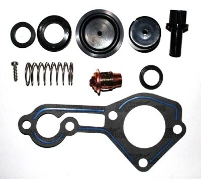 Kit de válvula y termostato Poppet Mercury 75-125 HP reemplaza 803060T1, 803061T1 Foto 1 de 3
