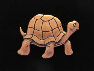 Broche Tortuga Broche Cobre Latón Plata Mate Buey Tortuga Reptile Pargo Cooter - Imagen 1 de 13