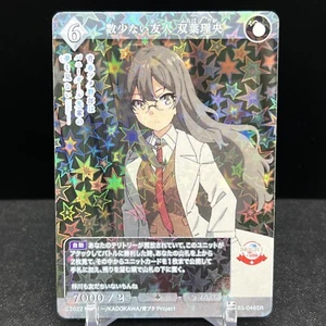 Tarjeta de división Rio Futaba BB-SBS-046SR Rascal Does Not Dream Build - Imagen 1 de 2