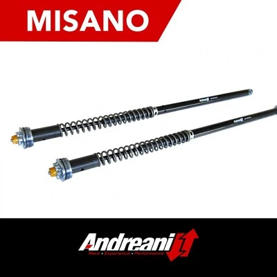 ANDREANI MISANO FORK ADJUSTABLE CARTRIDGE KIT FOR SUZUKI DL 1000 V-STROM 2014- - Image 1 of 4