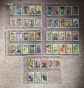 Wills Cigarette Cards Set Of 50 Garden Flowers In Plastic Sleeves - Picture 1 of 2