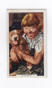 Movie Scene Cigarette Card 1936 #01 Jane Withers in Ginger the Dog