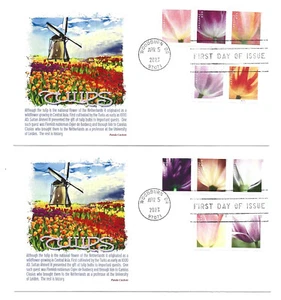 5767-76 Diez bobinas de tulipanes en dos escondites de panda FDC - Imagen 1 de 1