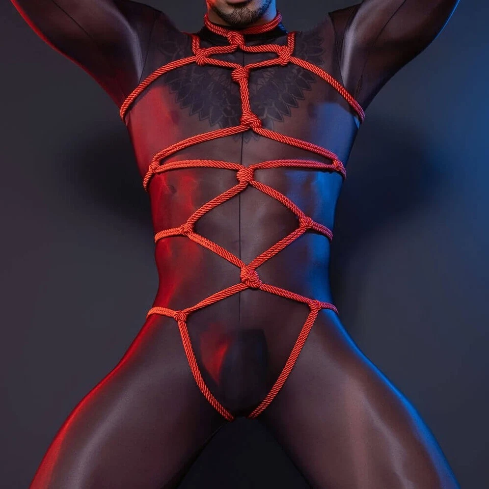 Arnés de pecho para hombre cuerpo completo bondage tirantes liguero club nocturno juegos con disfraces Foto 1 de 4