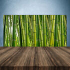 Küchenrückwand aus Glas ESG Spritzschutz 140x70cm Bambusrohre Pflanzen