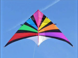 Delta Kite Single line Huge 104 x 55" + RipStop Nylon + Carbon Spars + Bag - Picture 1 of 5