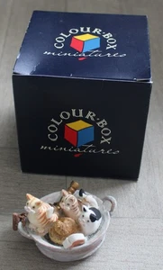 Peter Fagan Colourbox Cat - Rub a Dub HS086 - In Original Box - Picture 1 of 8