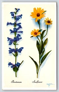 Postcard Harrison Crandall Studio Grand Teton National Park Jenny Lake Moose WY - Picture 1 of 2