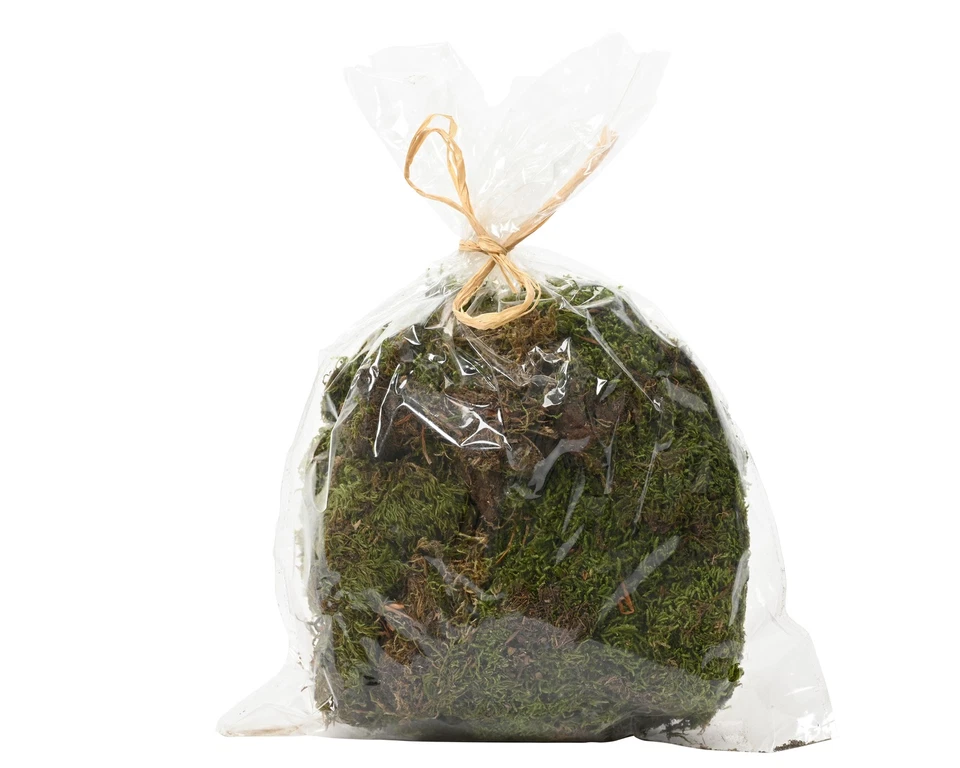 MARKENLOS Decorativos para manualidades y decoración natural 80g verde