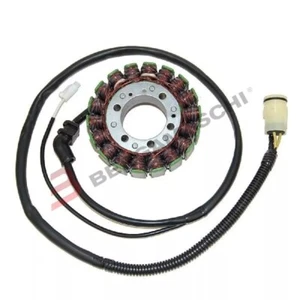 V833200156 Estátor Electrosport Kawasaki ZX-12R Ninjia 1200 2002 2003 - Imagen 1 de 1