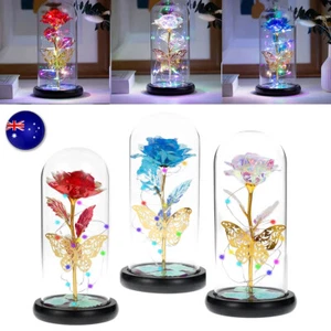 Forever Rose Light with Butterfly Glass Cover Mom/Valentine's Day Gift for Woman - Picture 1 of 19