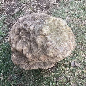 17 lb + Cristales de geoda Indiana, minerales, fósil intacto joyería lapidario - Imagen 1 de 6