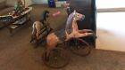 antique toys for children. horses, rocking chair and a rocking horse