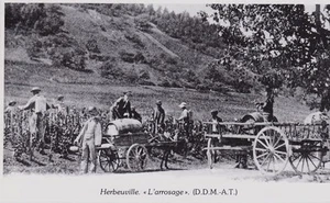 1984 -- HERBEUVILLE L ARROSAGE 3G122 - Foto 1 di 1
