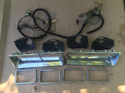 Borde de faros Buick LeSabre Electra Park Avenue 1977 1978 1979 1257028 1257029 Foto 1 de 4