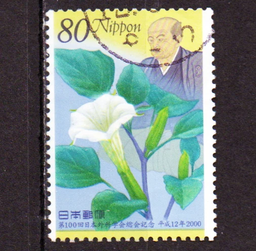 JAPÓN 2000 CIRUGÍA JAPONESA USADA Foto 1 de 1