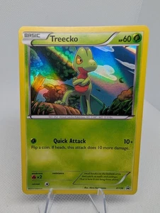 Treecko XY36 Black Star Promo Holo Raro Pokemon TCG Tarjeta - LP - Imagen 1 de 4