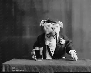 Bull Dog Bartender 1905 8x10 reimpresión de foto antigua - Imagen 1 de 1