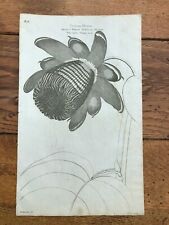 1812 elements of botany print - passion flower  !