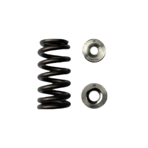 Kit fermo titanio molla singola alveare Brian Crower per BMW Mini B48 - Foto 1 di 1