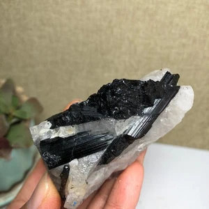 Natürlicher Turmalin Kristall Paragenese Edelstein Original Präparat 134g A1695 - Bild 1 von 19