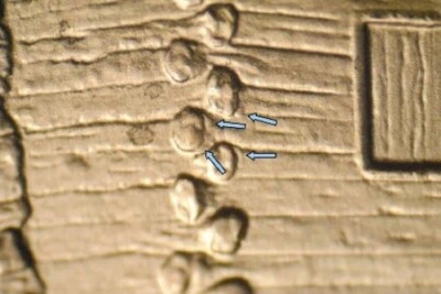 2009 D EC WDDR-056 Lincoln Cent Early Childhood Log Cabin Birthplace Doubled Die - Image 1 of 3