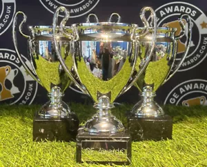Silver Legend Cup Football Squad Trophy Award FREE ENGRAVING - Picture 1 of 2