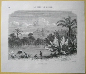 Impresión 1863 Mauricio: Grande Riviere Noire, #144 - Imagen 1 de 1