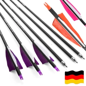 12X 30" Carbonpfeile Naturfedern SP500 Bogenschießen Recurvebogen Langbogen Jagd - Bild 1 von 15