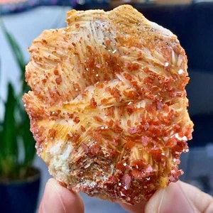 120G Natural Vanadinite Crystal Cluster Raw specimen Morocco-Museum level - Picture 1 of 21