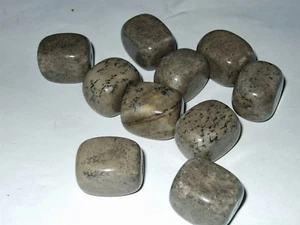 - Hartsteine gelocht - JASPIS DENDRITE - Bild 1 von 1