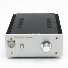 Finished HIFI Pass AM Pure Class A Stereo Amplifier 22W+22W Home Amp